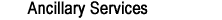 Ancillary Services