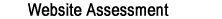 Website Assesment
